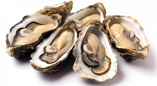 牡蠣の本場・日生産!牡蠣7種の牡蠣料理70分間食べ放題&坂越レトロ街並みさんぽ【五位堂発】3